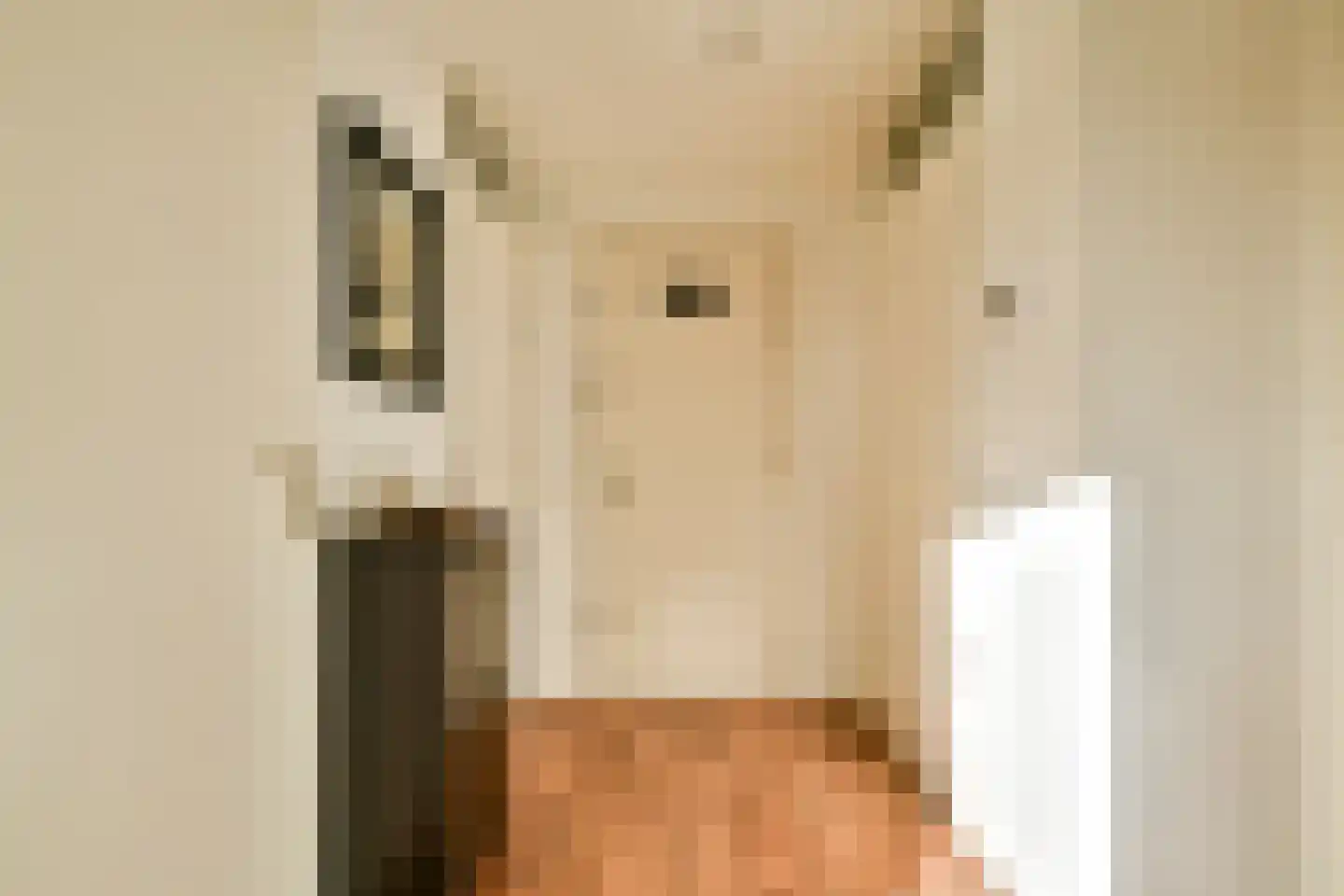 Ladogameerhof 313 Amsterdam thumbnail 4