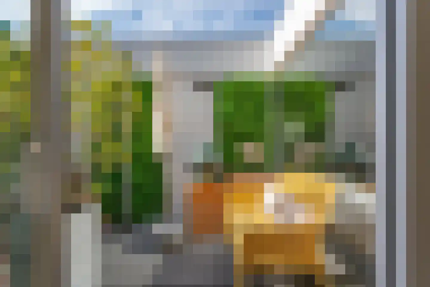 Ladogameerhof 317 Amsterdam thumbnail 13