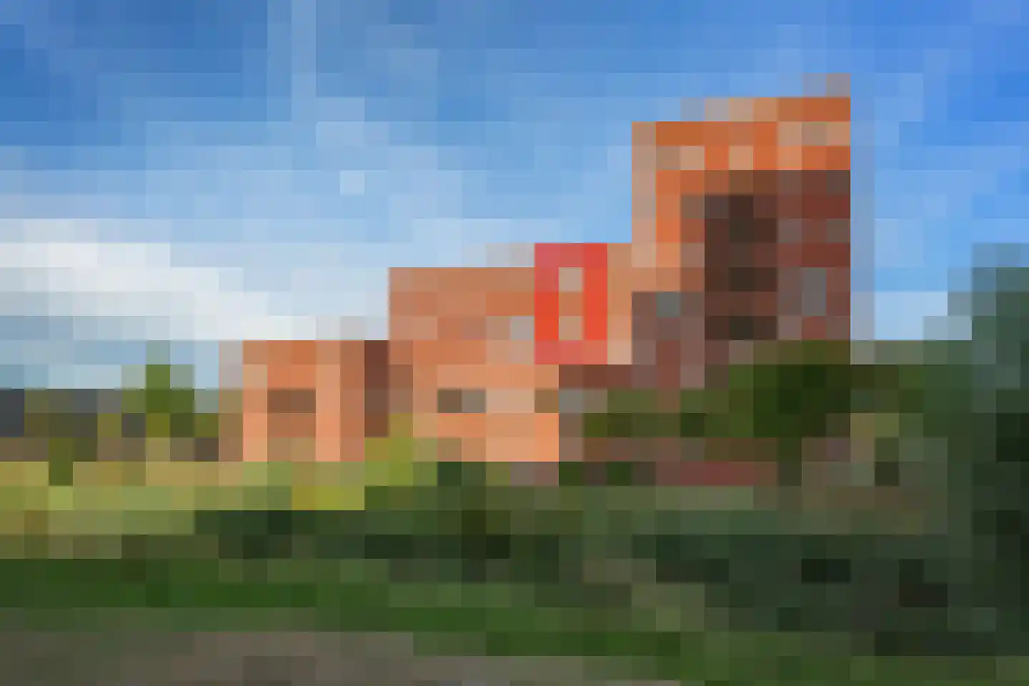 Ladogameerhof 317 Amsterdam thumbnail 29