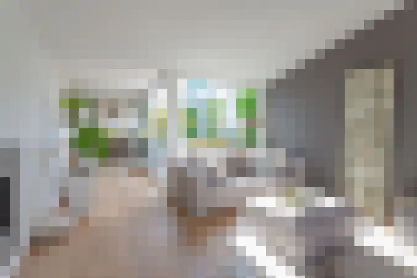 Ladogameerhof 317 Amsterdam thumbnail 5