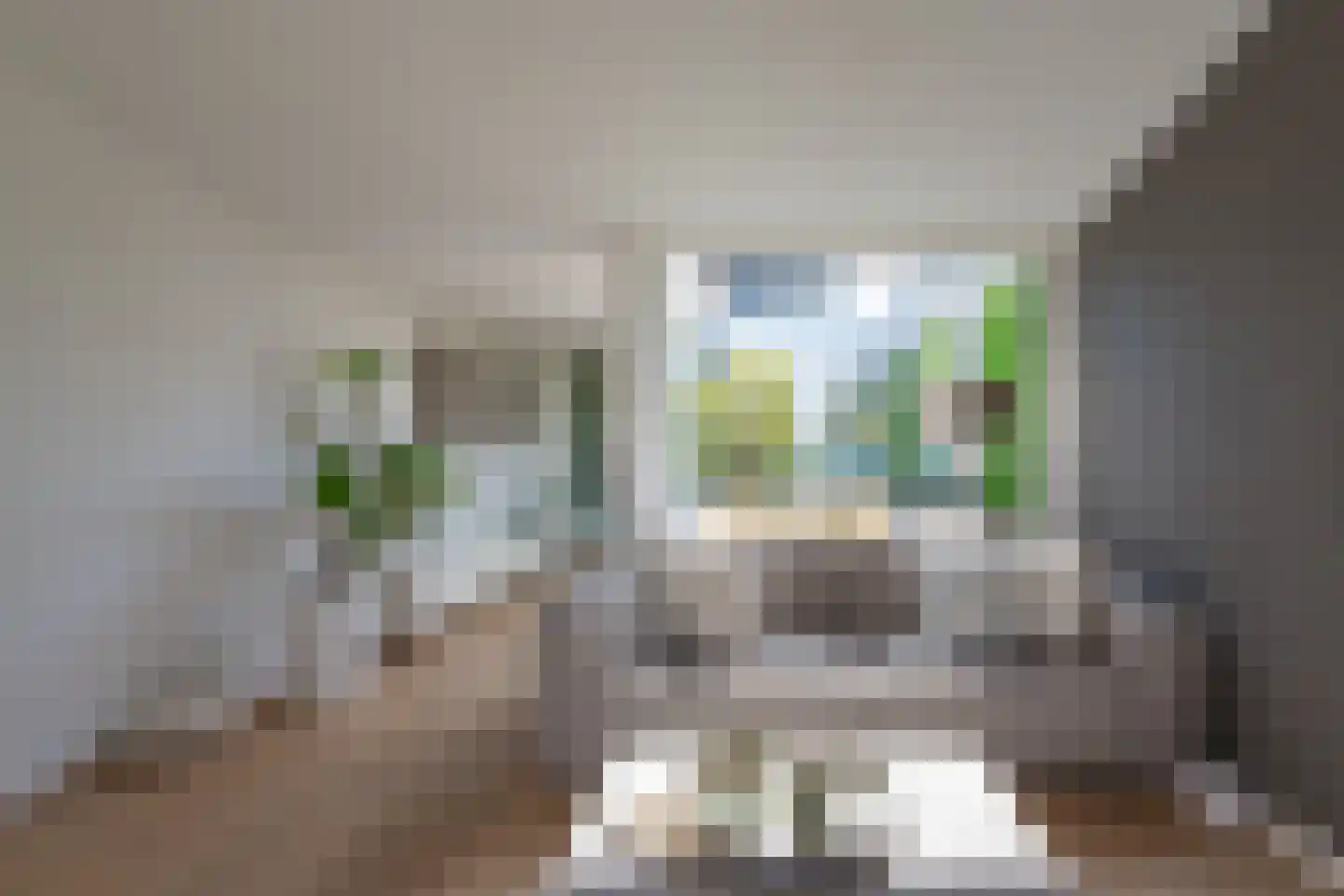 Ladogameerhof 317 Amsterdam thumbnail 8