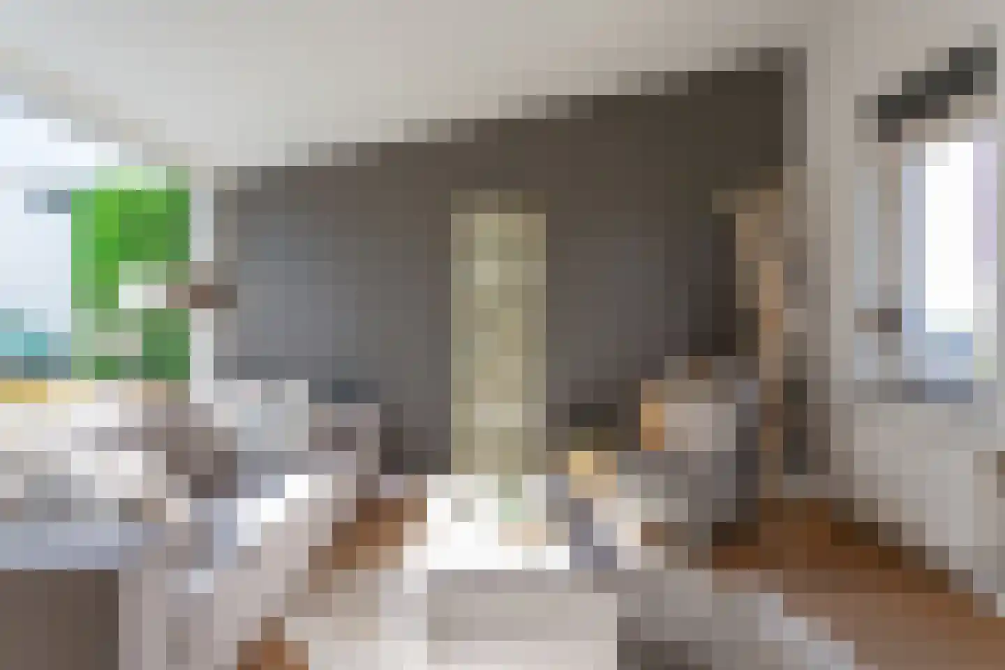 Ladogameerhof 317 Amsterdam thumbnail 9