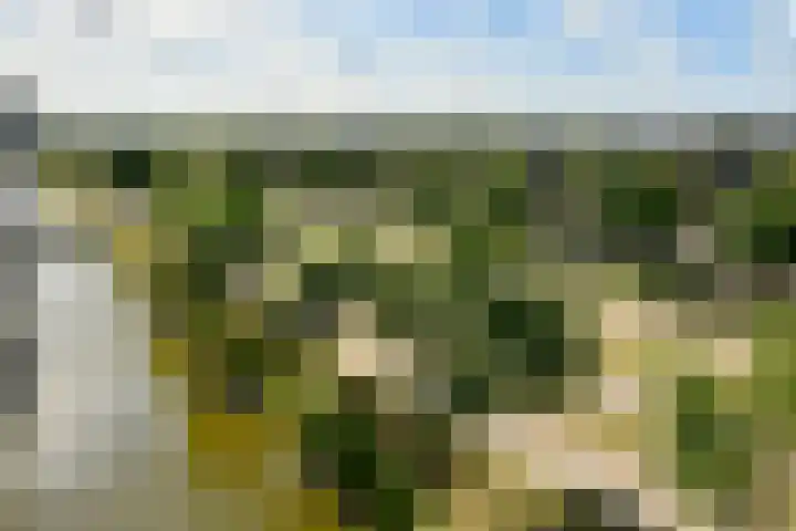 Ladogameerhof 34 Amsterdam thumbnail 16
