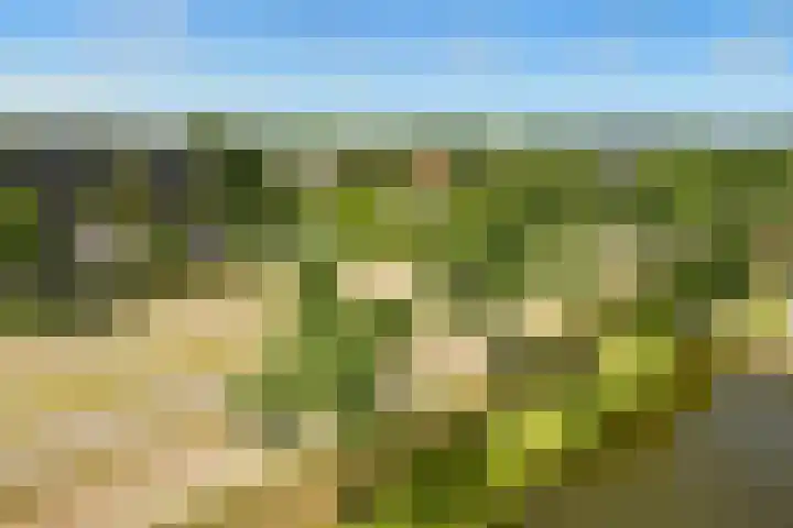 Ladogameerhof 34 Amsterdam thumbnail 17