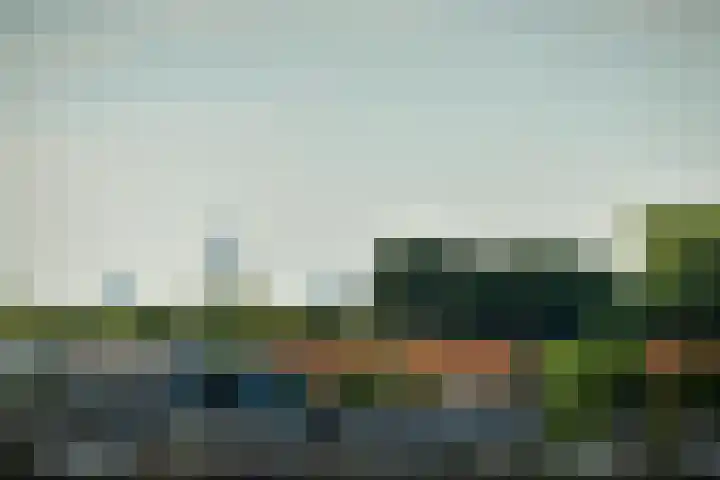 Ladogameerhof 34 Amsterdam thumbnail 18