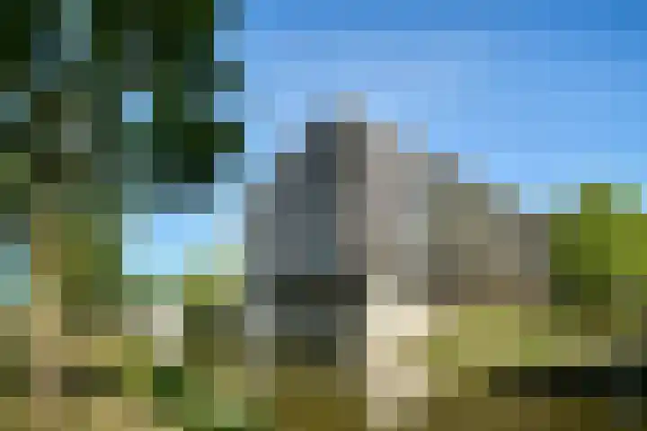 Ladogameerhof 34 Amsterdam thumbnail 20