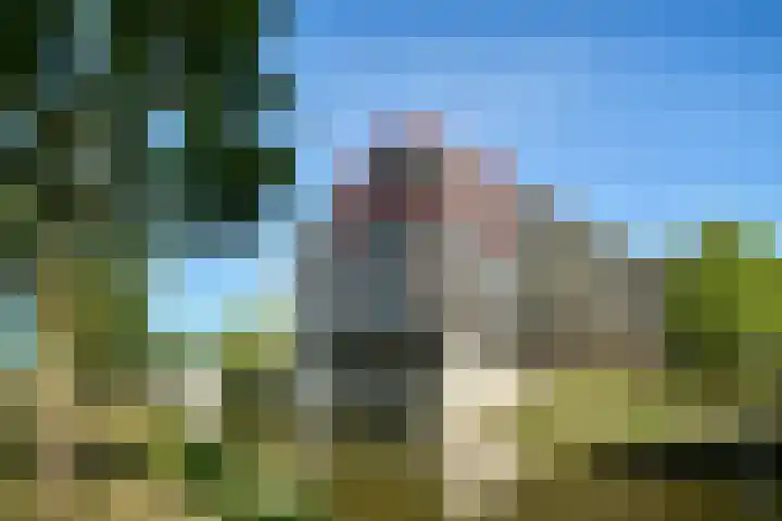Ladogameerhof 34 Amsterdam thumbnail 26
