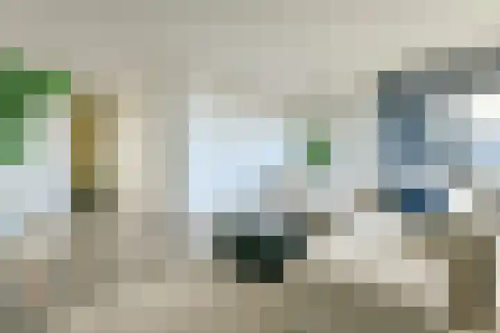 Ladogameerhof 34 Amsterdam thumbnail 4