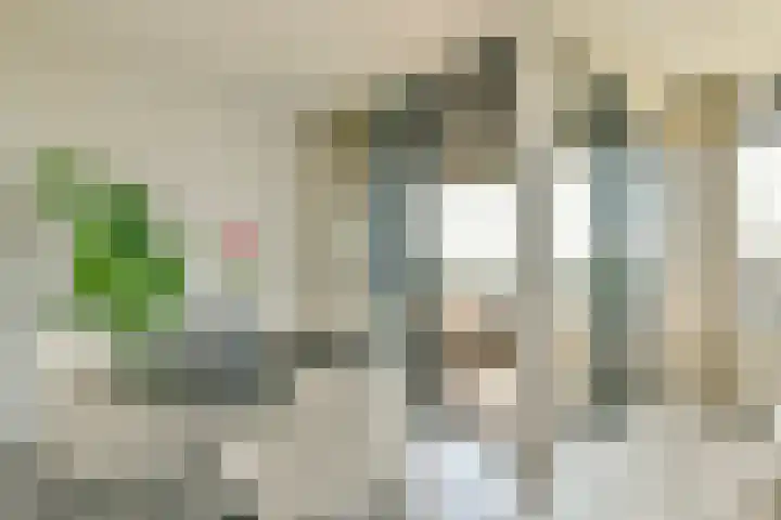 Ladogameerhof 34 Amsterdam thumbnail 5