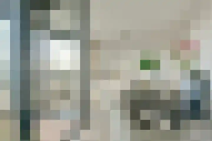 Ladogameerhof 34 Amsterdam thumbnail 8