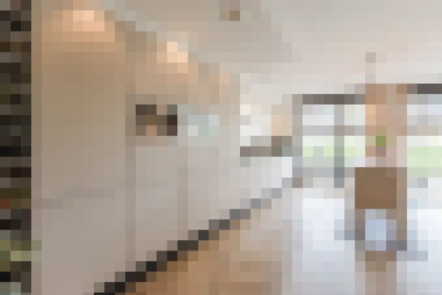 Ladogameerhof 7 Amsterdam thumbnail 12