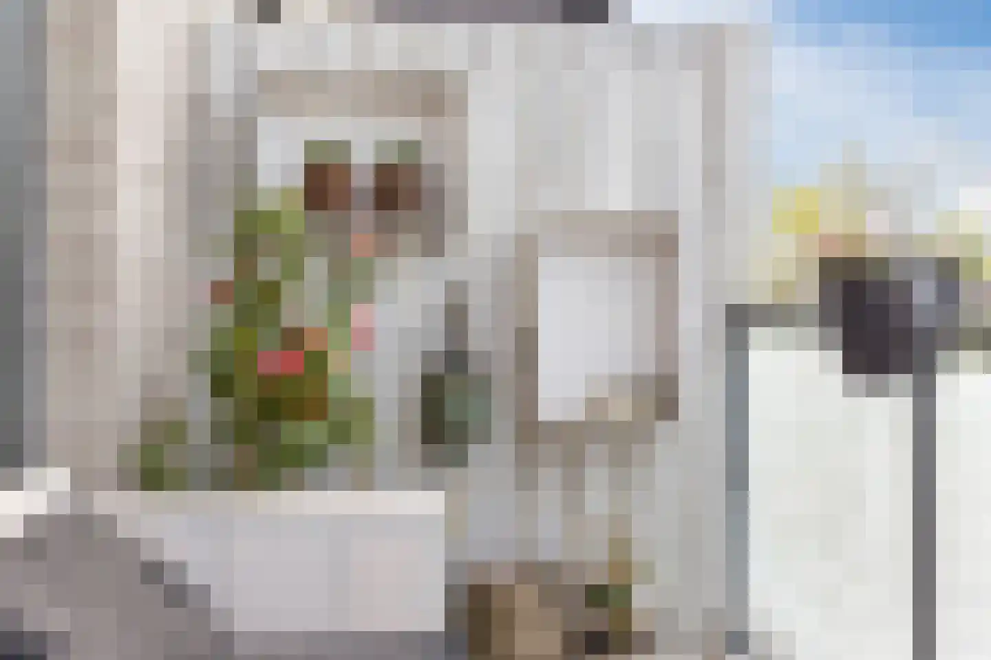 Ladogameerhof 7 Amsterdam thumbnail 28