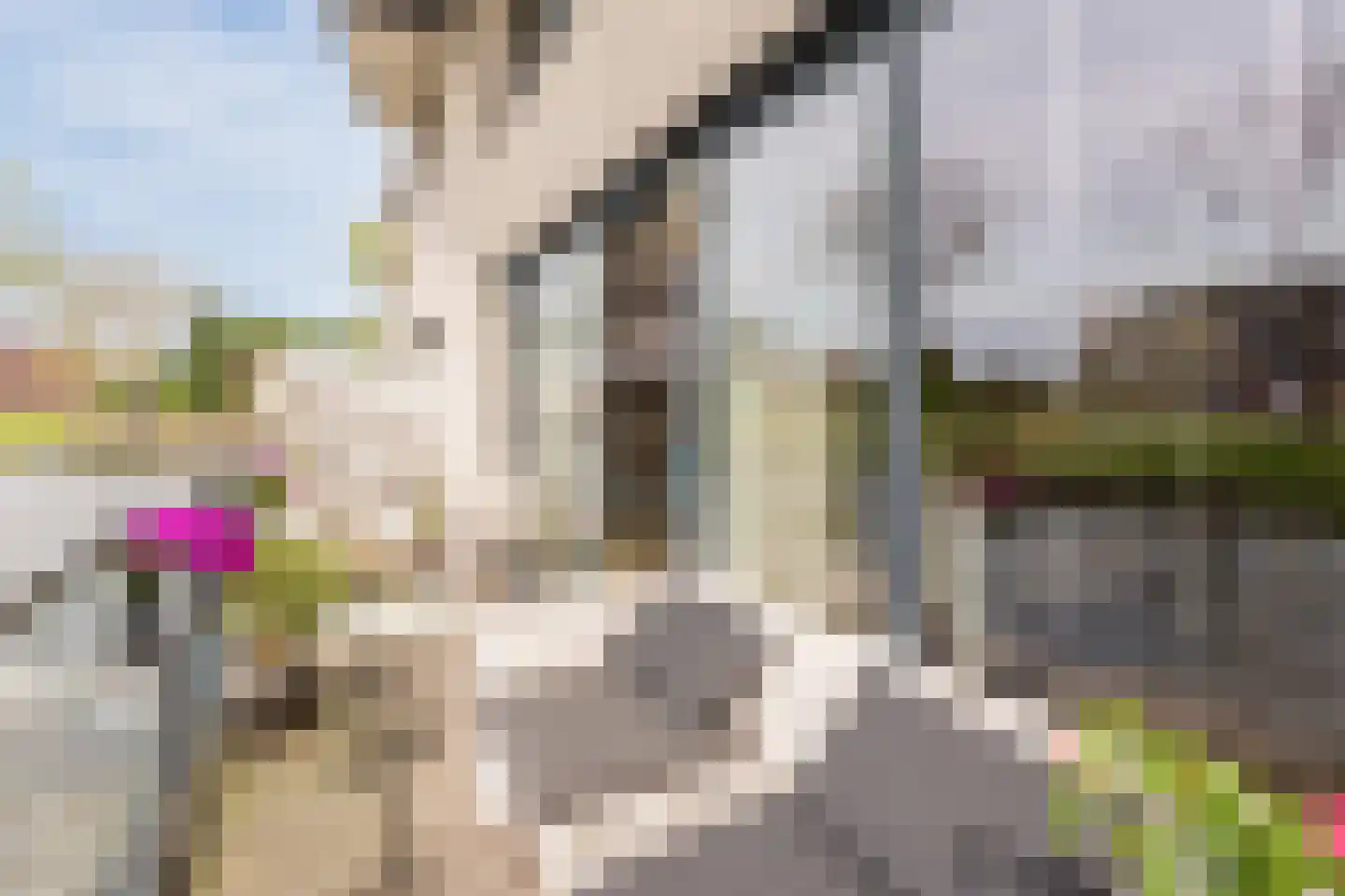 Ladogameerhof 7 Amsterdam thumbnail 29