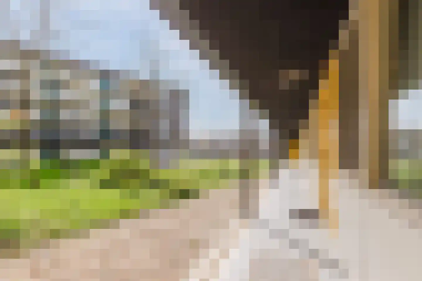 Ladogameerhof 7 Amsterdam thumbnail 5