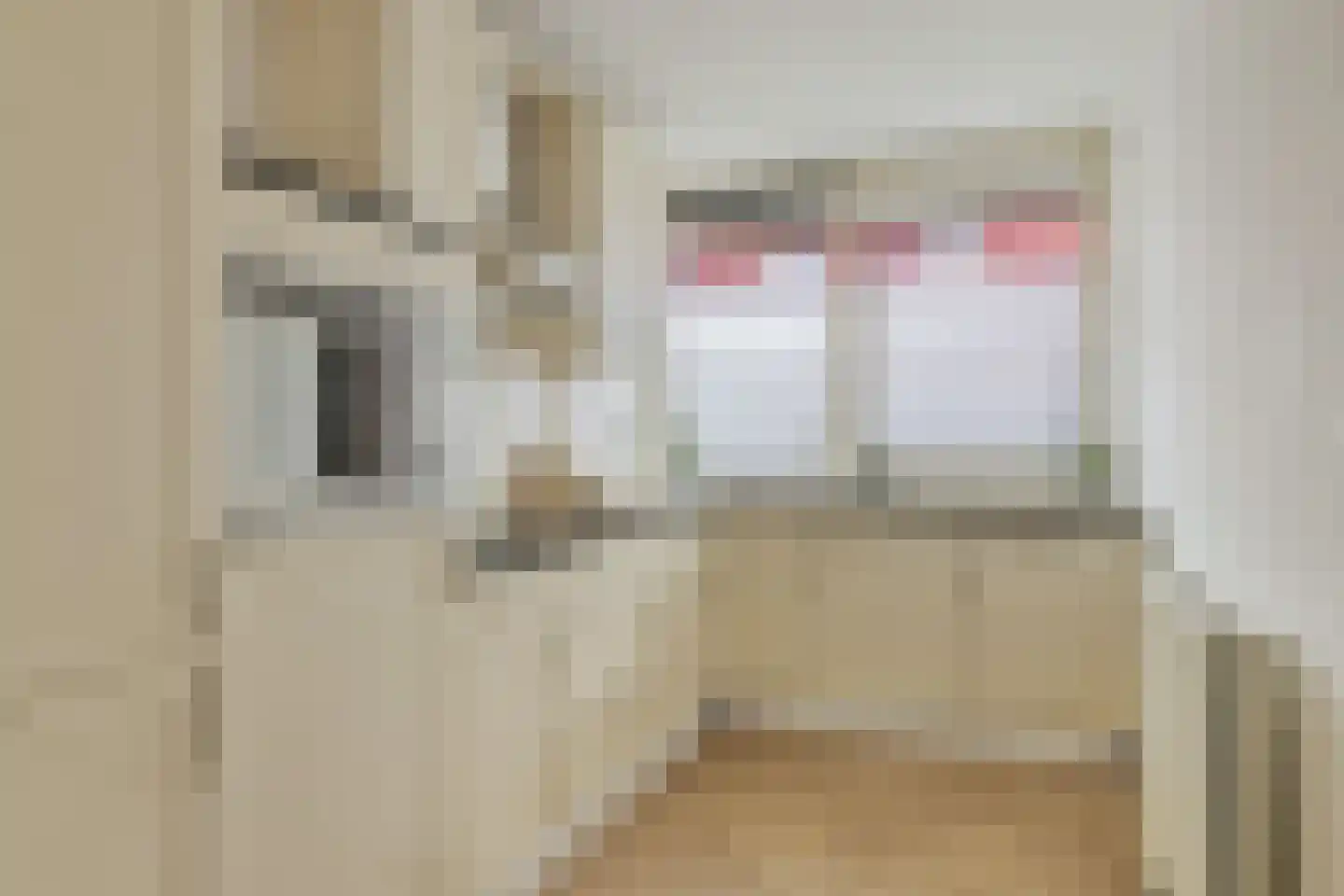 Ladogameerhof 86 Amsterdam thumbnail 14