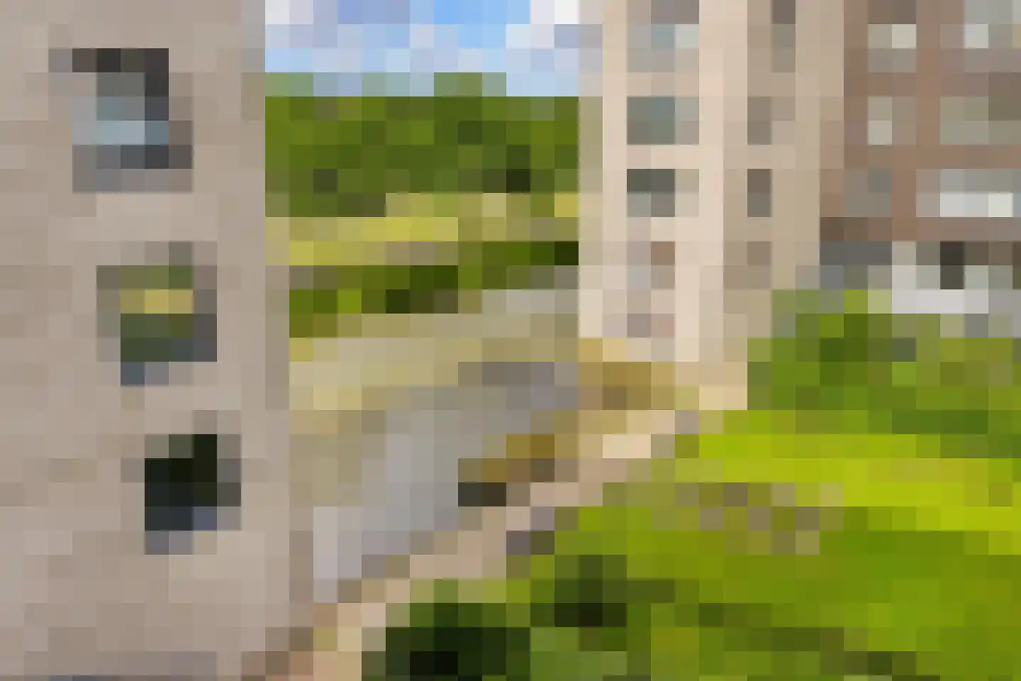 Ladogameerhof 86 Amsterdam thumbnail 29