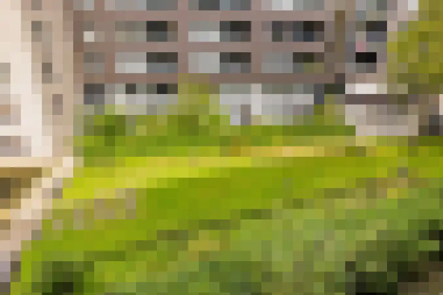 Ladogameerhof 86 Amsterdam thumbnail 30