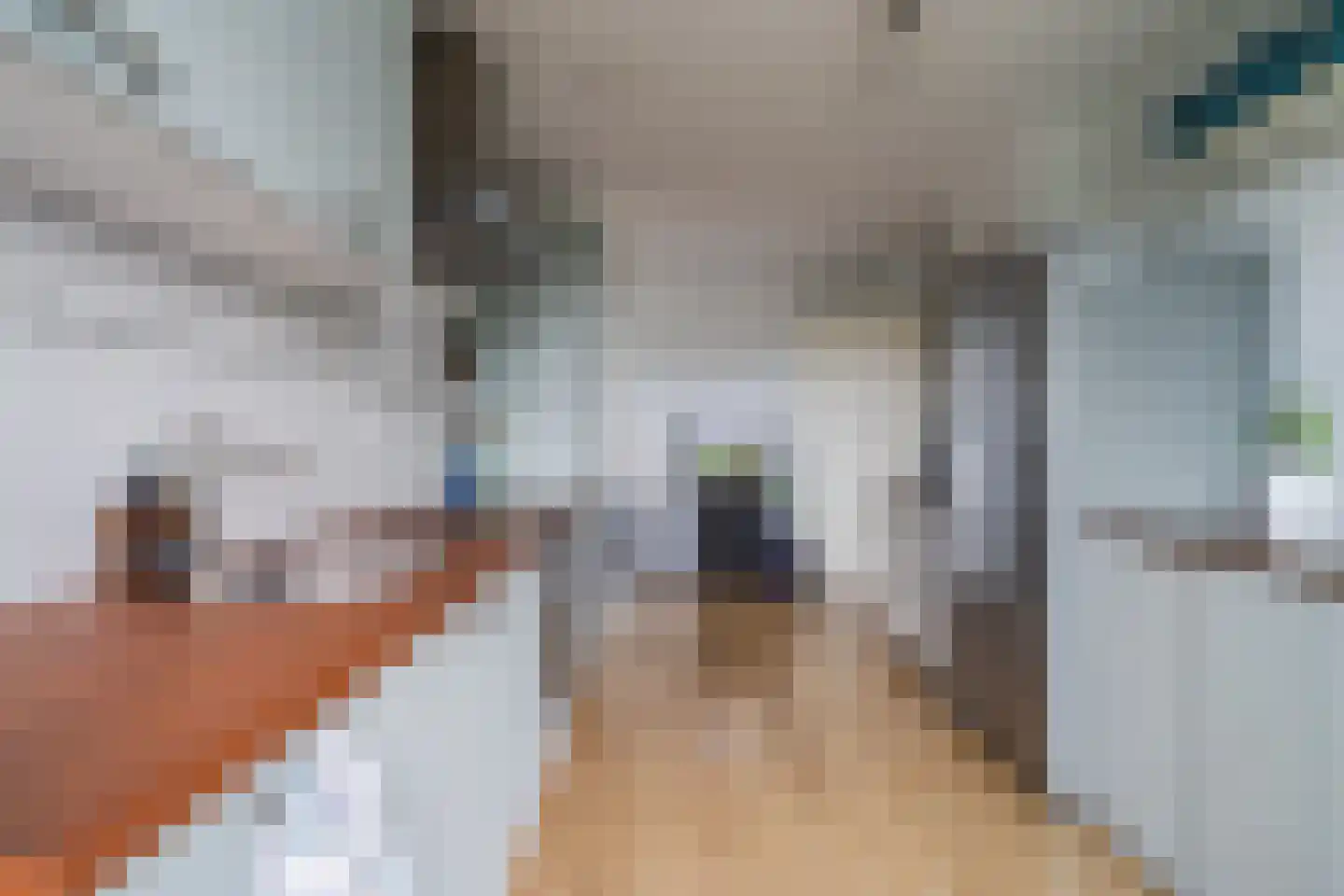 Ladogameerhof 87 Amsterdam thumbnail 14