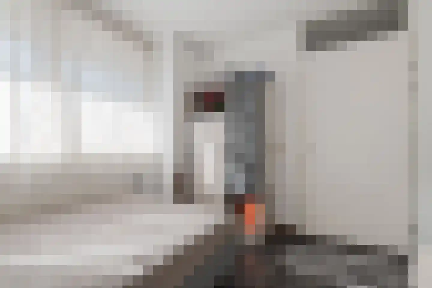 Ladogameerhof 92 Amsterdam thumbnail 33