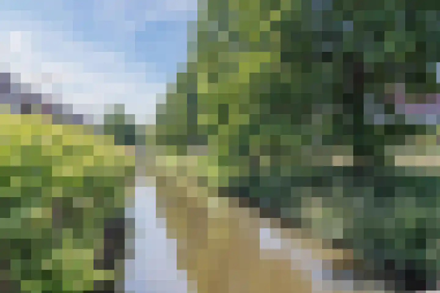 Ladogameerhof 92 Amsterdam thumbnail 47