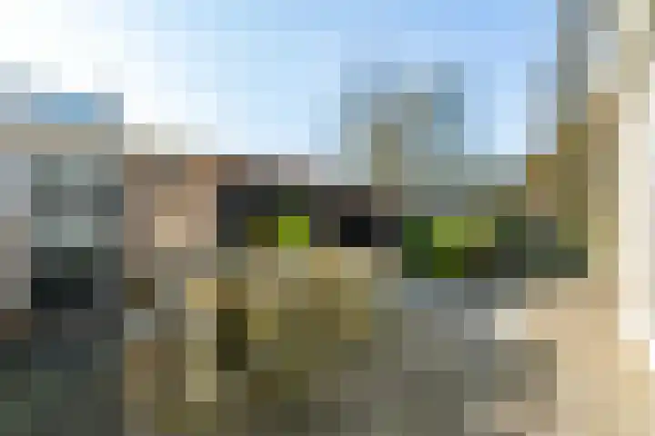 Laegieskampweg 20 Naarden thumbnail 28