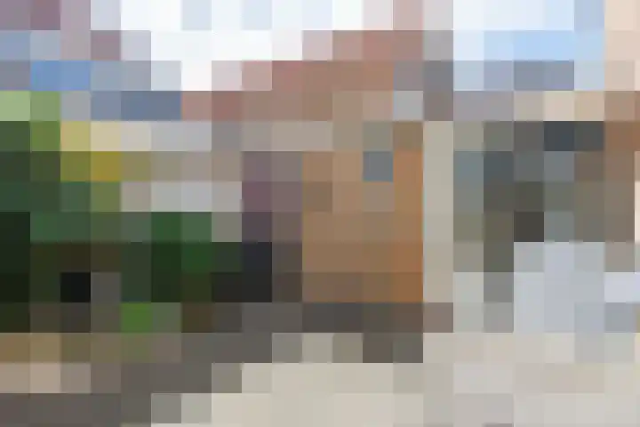Laene 16 A Franeker thumbnail 29