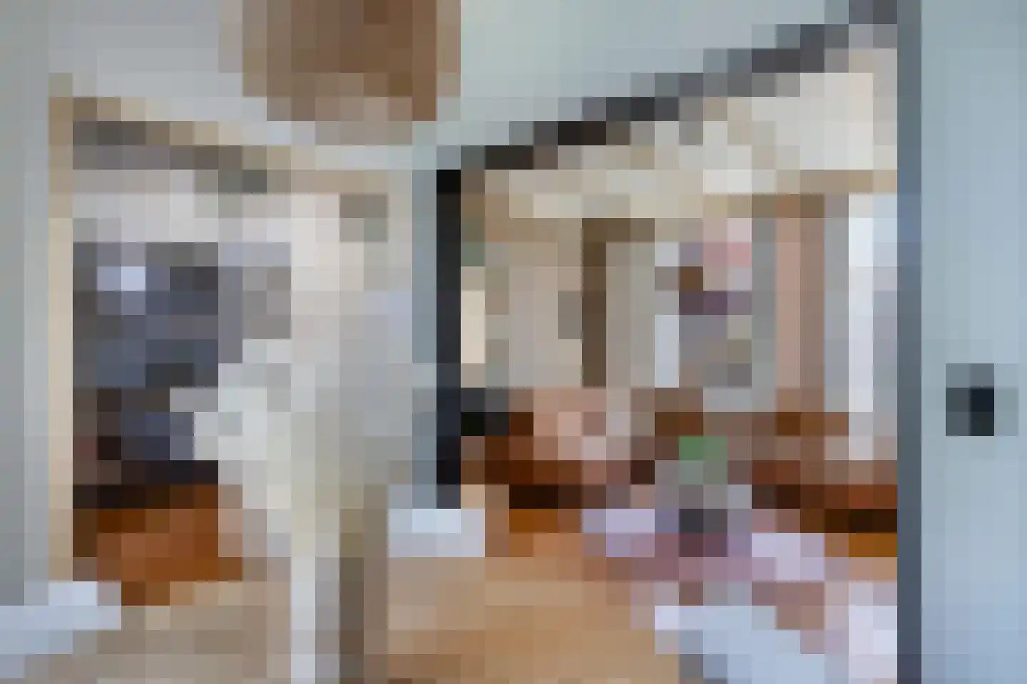 Laene 19 Franeker thumbnail 13