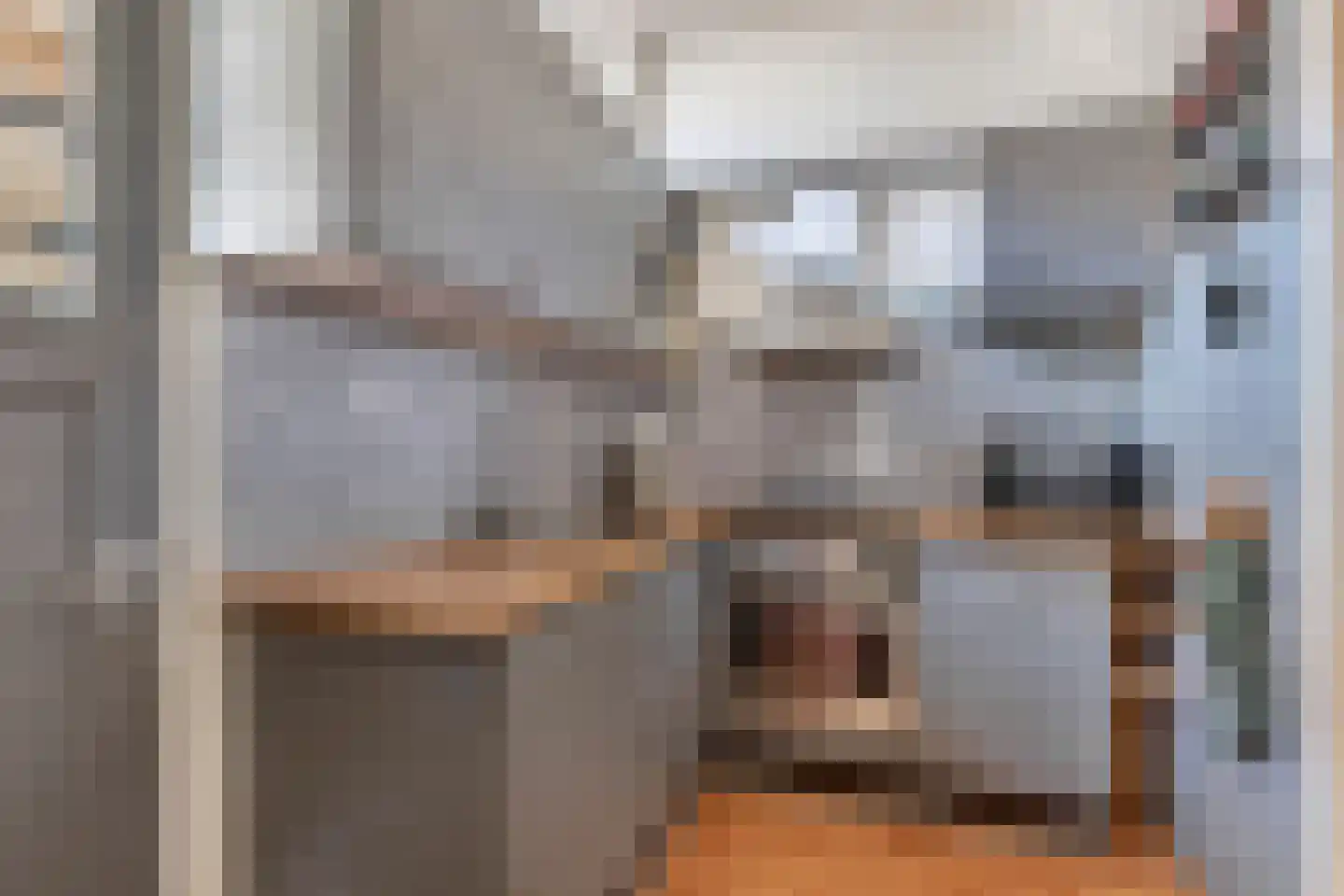 Laene 19 Franeker thumbnail 15
