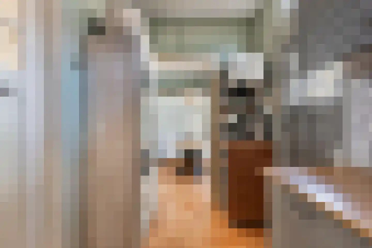 Laene 19 Franeker thumbnail 16