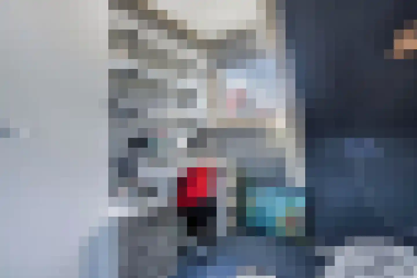 Laene 19 Franeker thumbnail 21