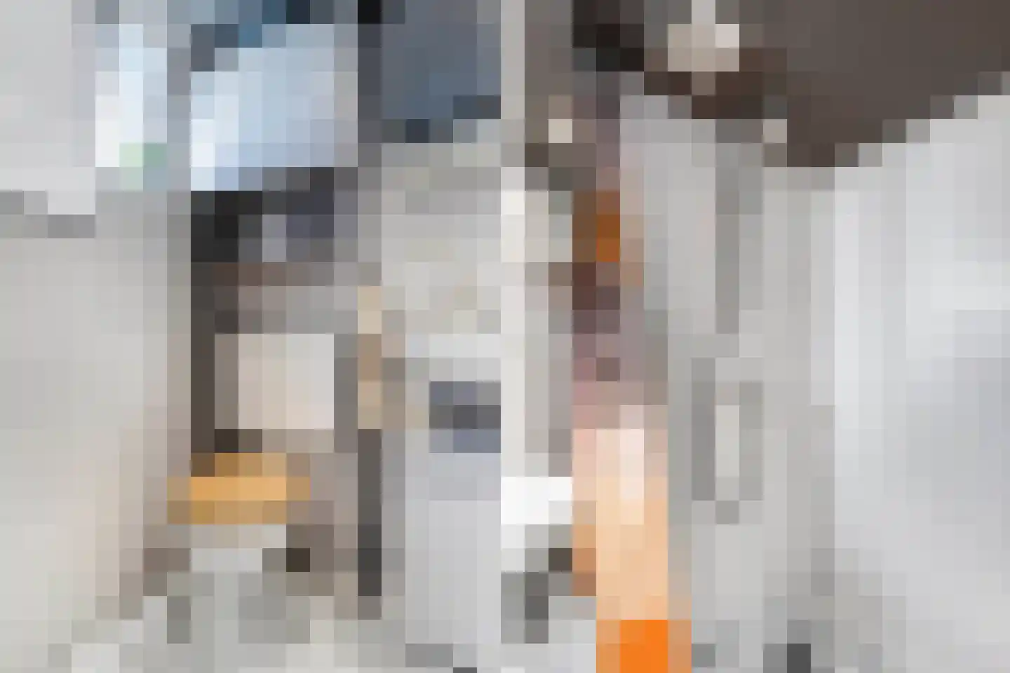 Laene 19 Franeker thumbnail 26