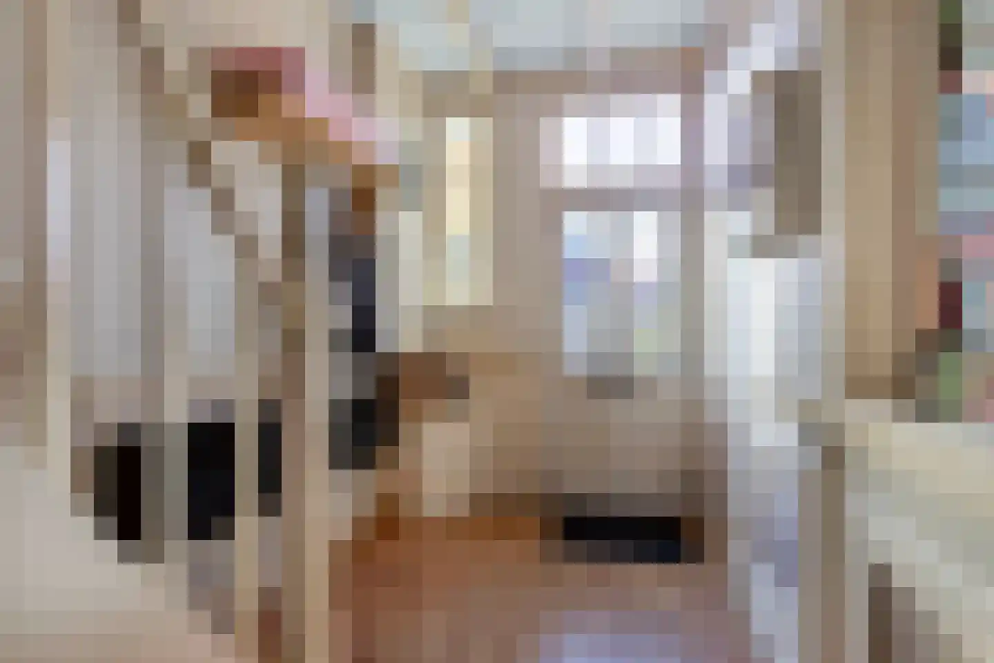 Laene 19 Franeker thumbnail 5