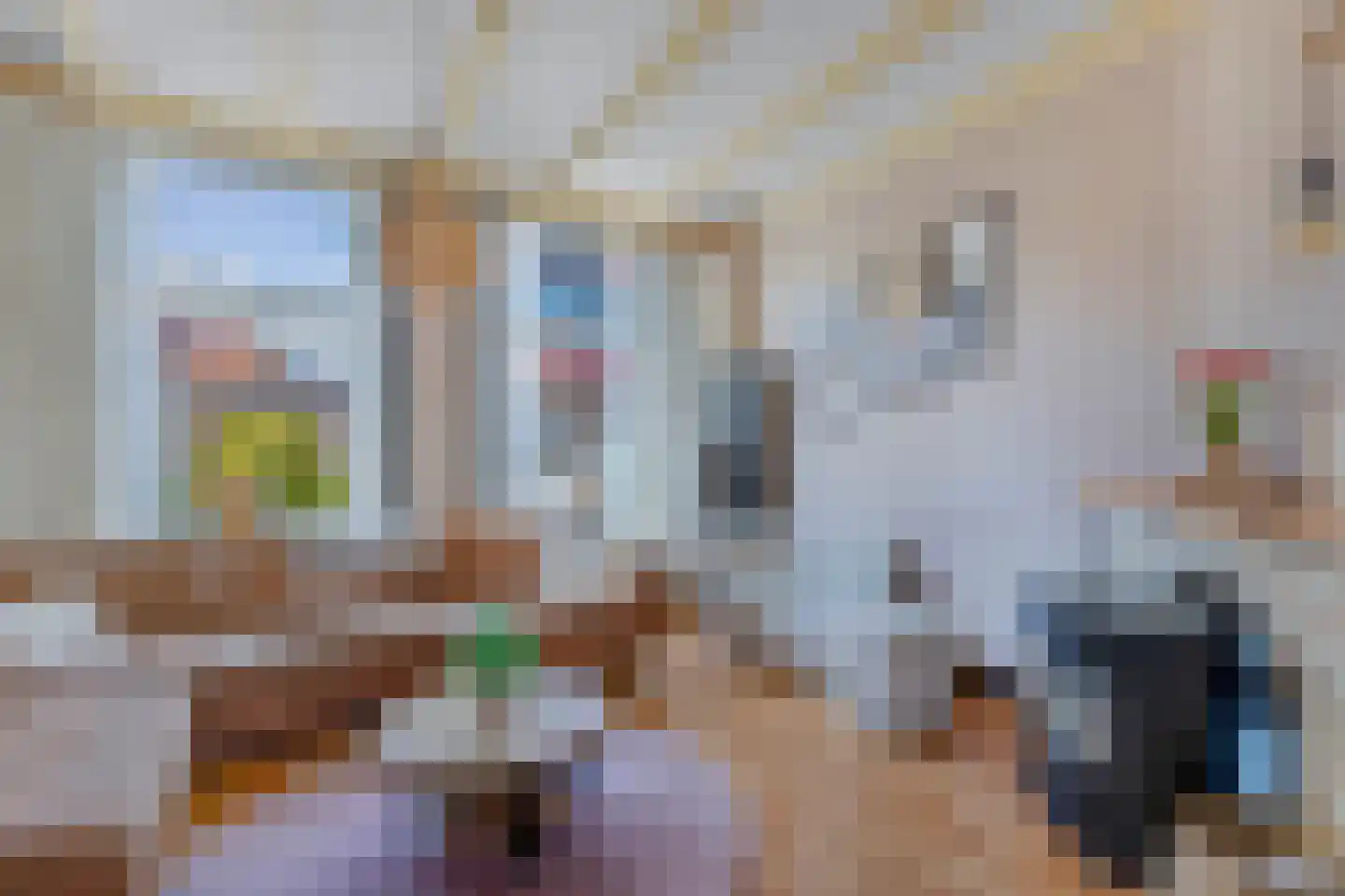 Laene 19 Franeker thumbnail 8
