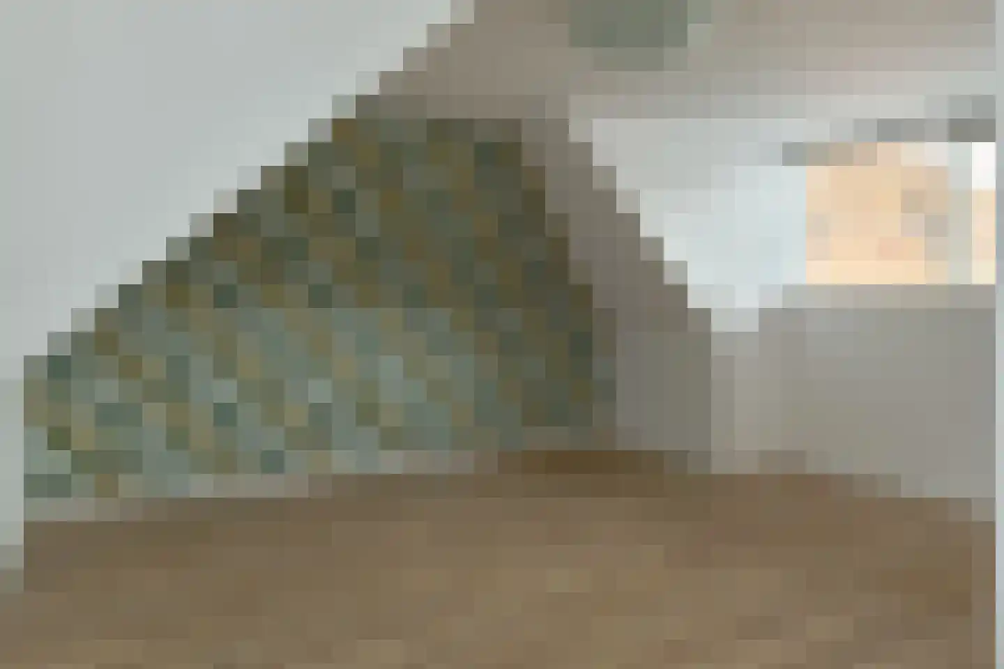 Laene 3 Franeker thumbnail 21