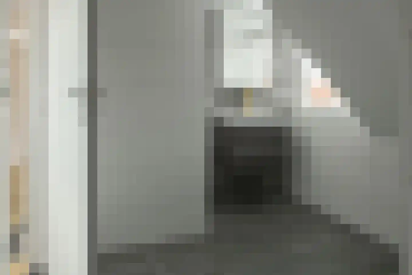 Laene 3 Franeker thumbnail 23