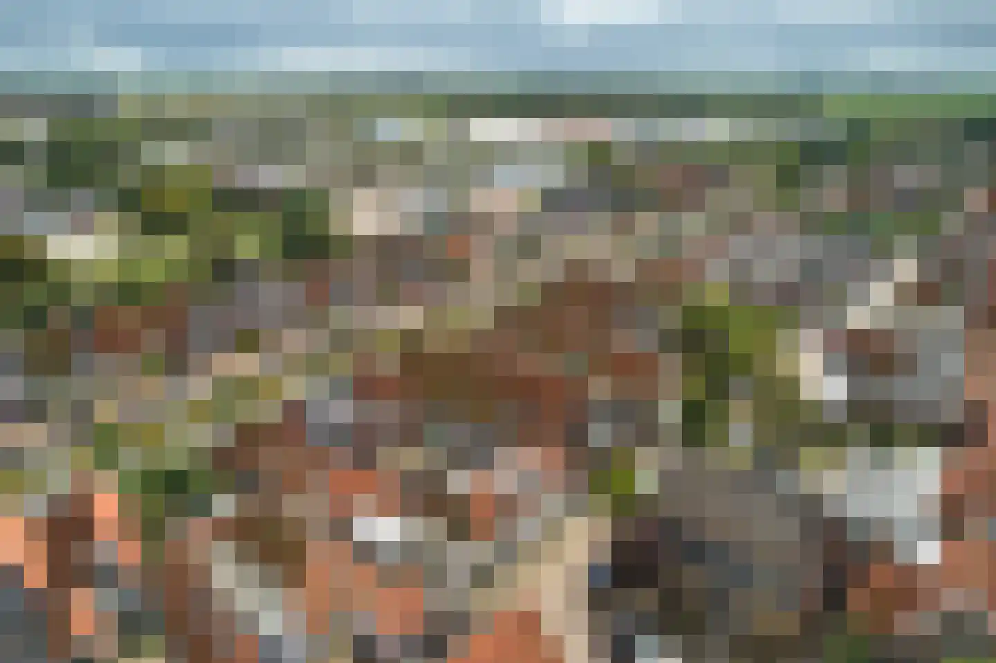 Laene 3 Franeker thumbnail 31