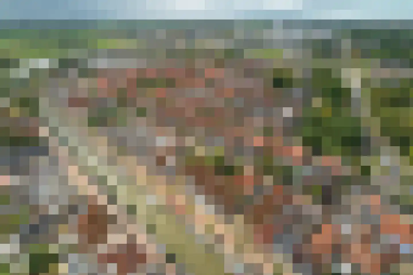 Laene 3 Franeker thumbnail 4