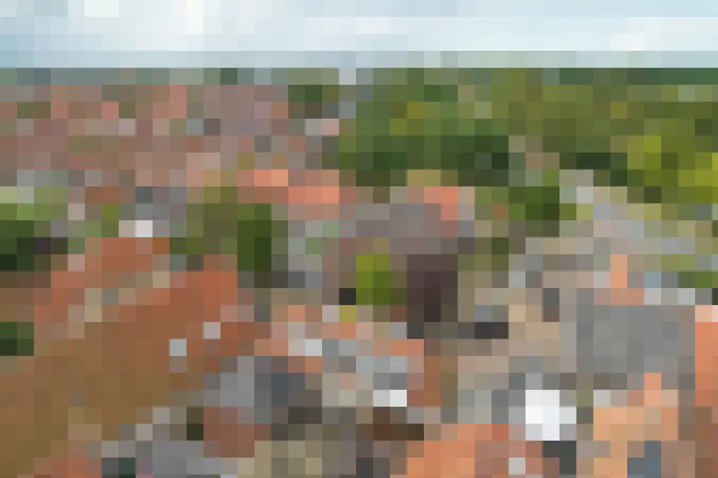 Laene 3 Franeker thumbnail 5