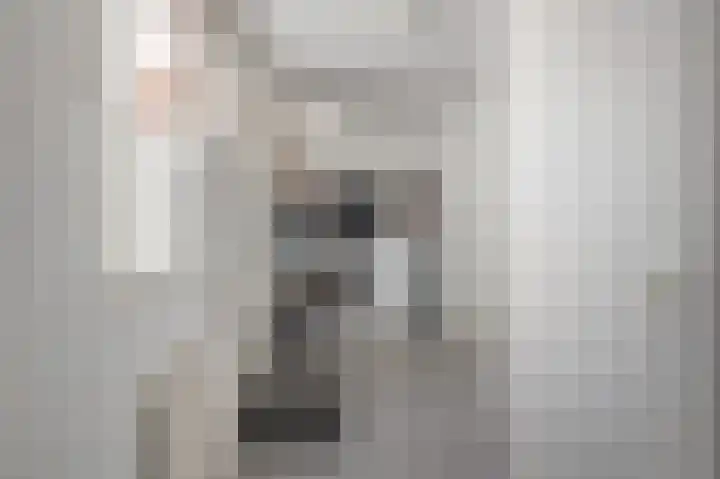 Laene 9 Franeker thumbnail 10