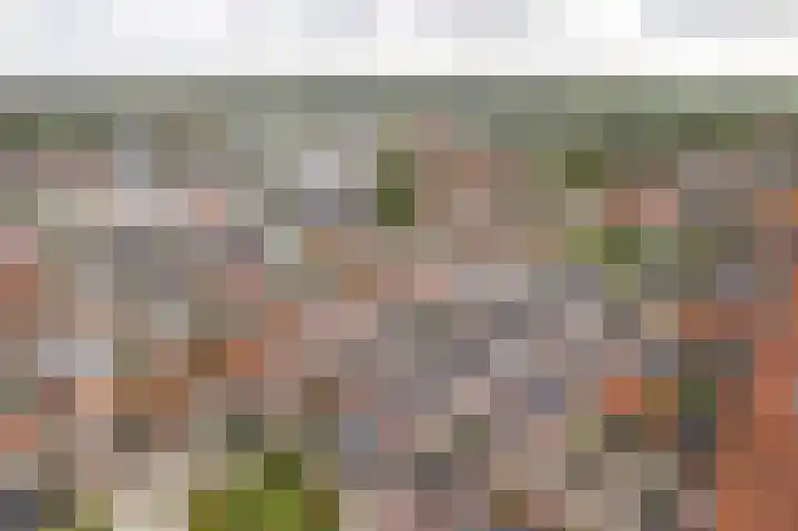 Laene 9 Franeker thumbnail 23
