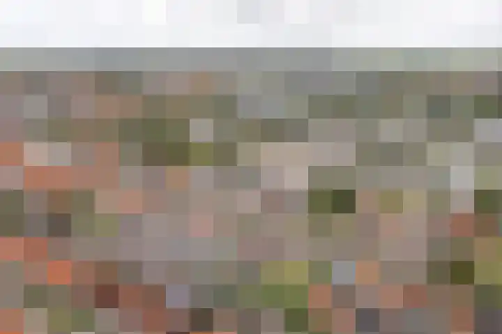 Laene 9 Franeker thumbnail 24