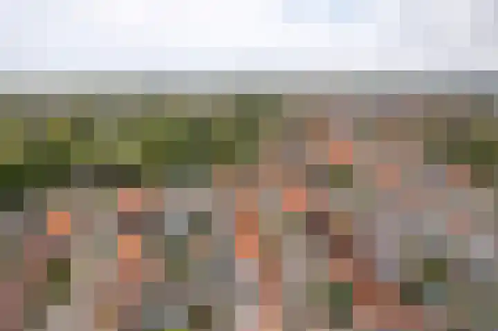 Laene 9 Franeker thumbnail 25