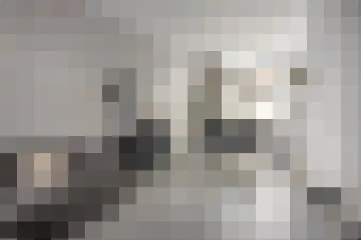 Laene 9 Franeker thumbnail 5