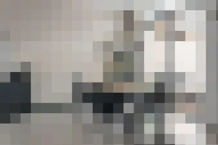 Laene 9 Franeker thumbnail 9