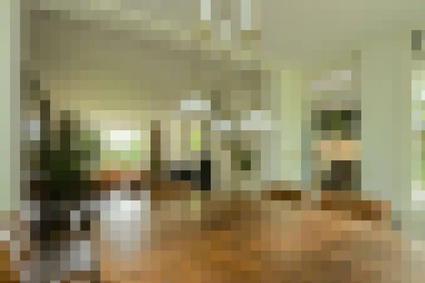 Lage Aard 14 Bavel thumbnail 10