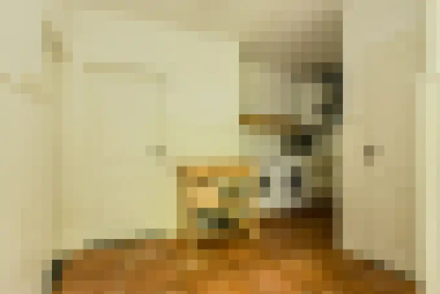 Lage Aard 14 Bavel thumbnail 15