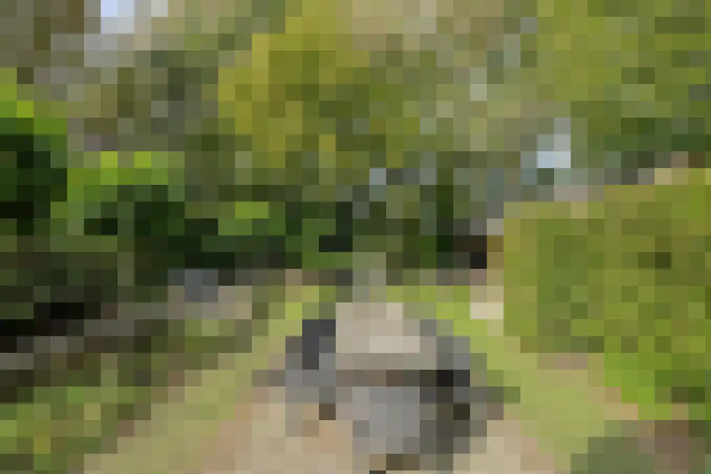 Lage Aard 14 Bavel thumbnail 39