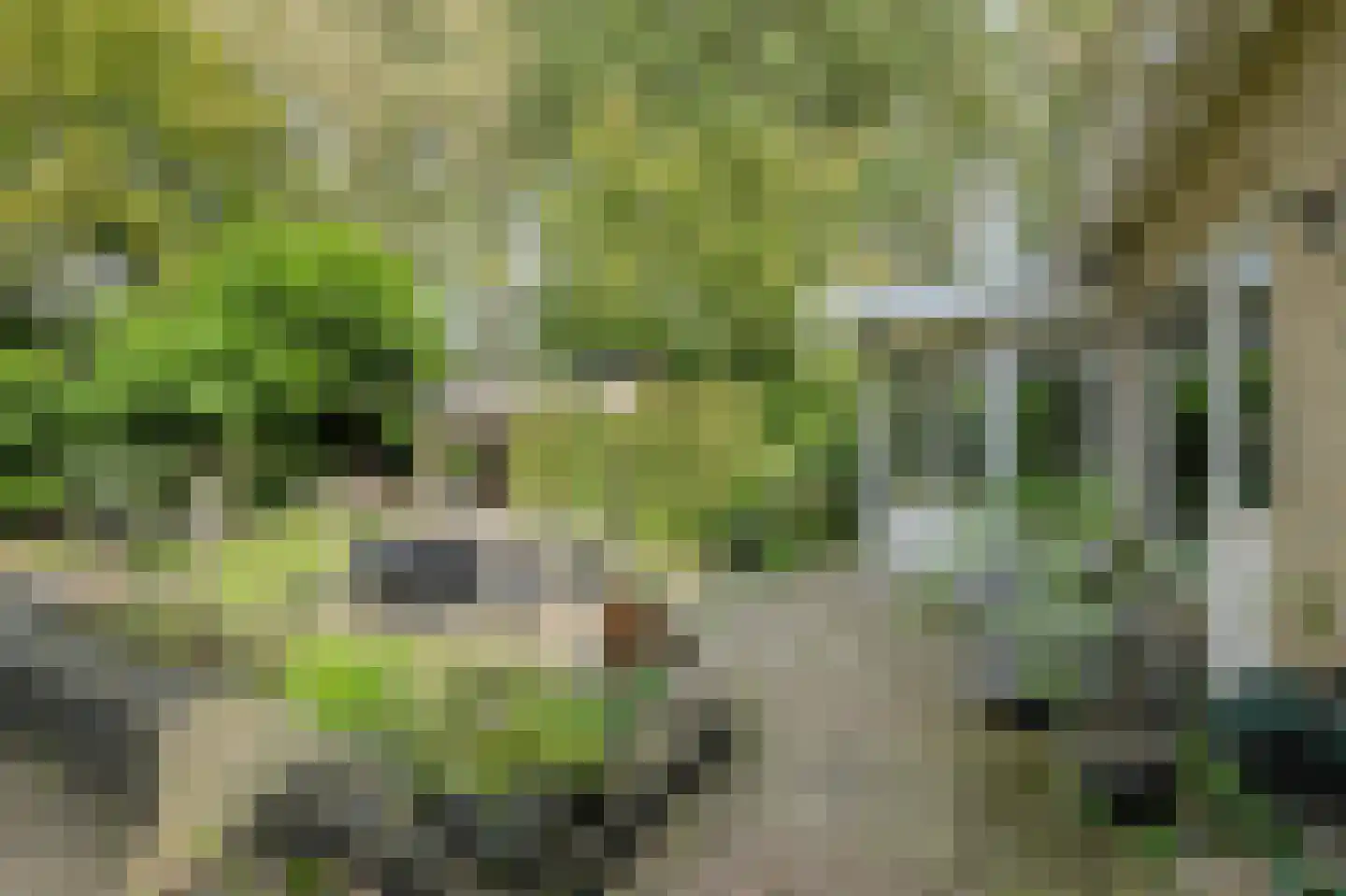 Lage Aard 14 Bavel thumbnail 40