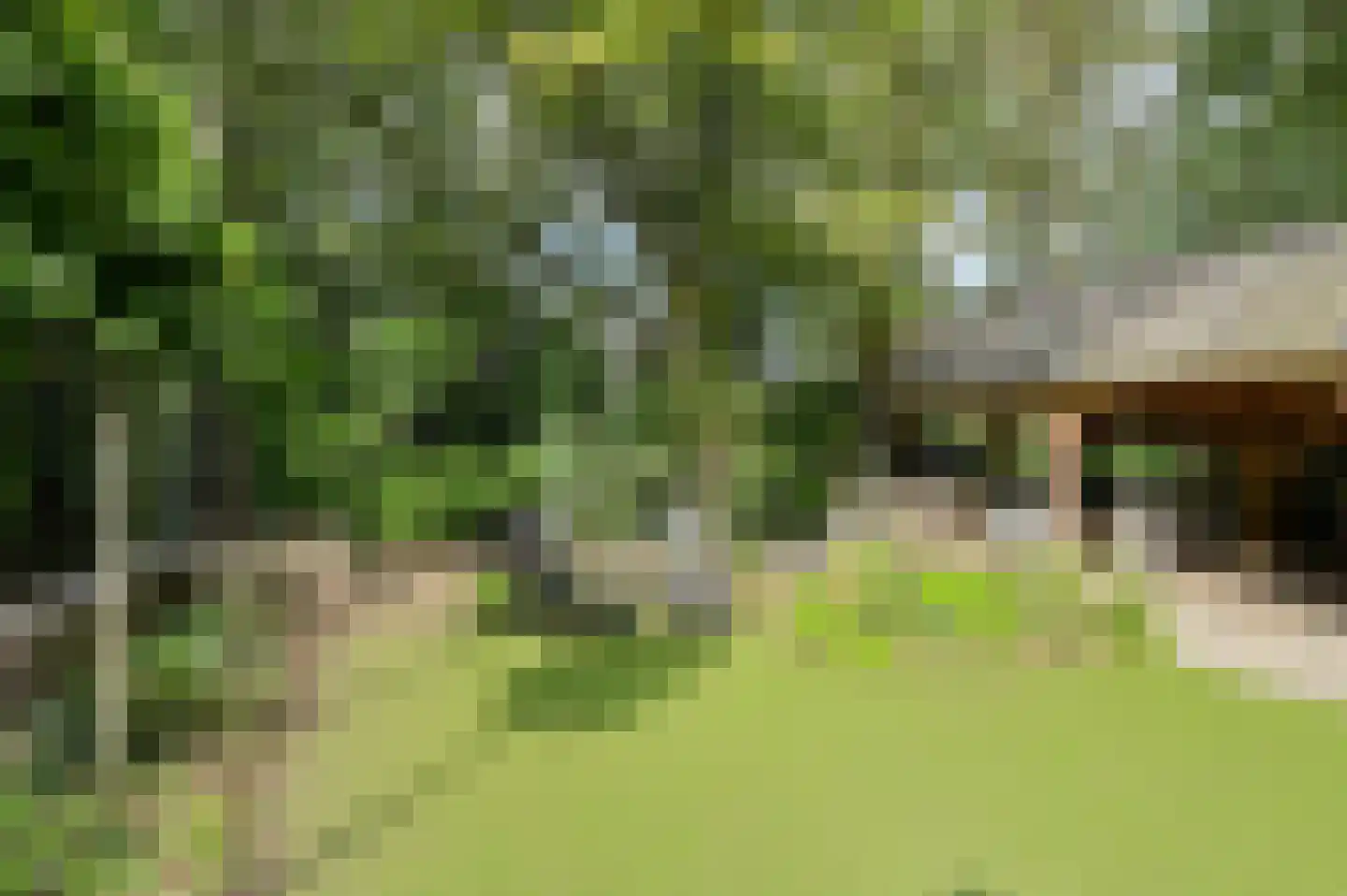 Lage Aard 14 Bavel thumbnail 42