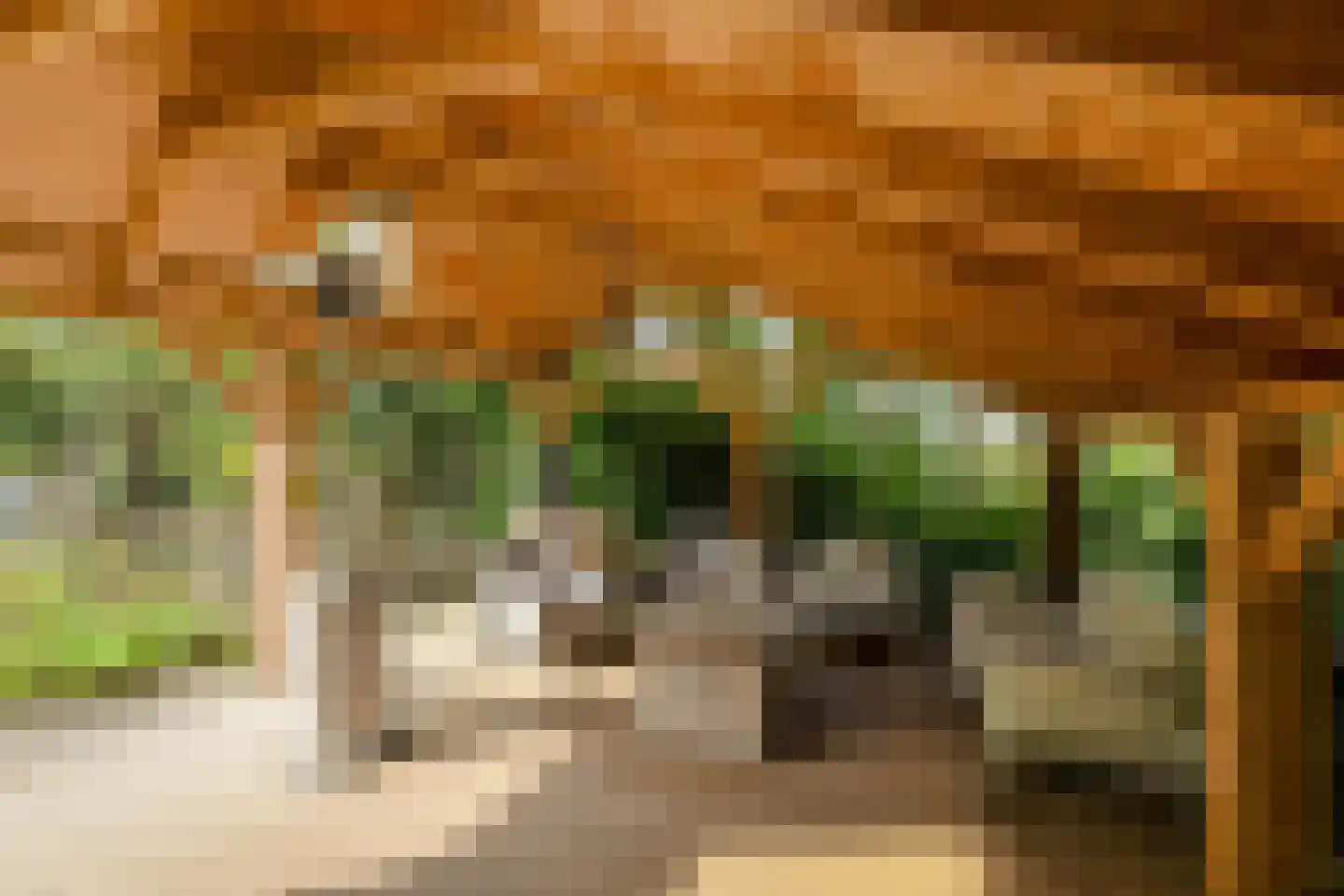 Lage Aard 14 Bavel thumbnail 43